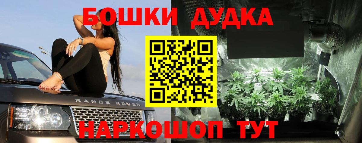 Каннабис план Прокопьевск